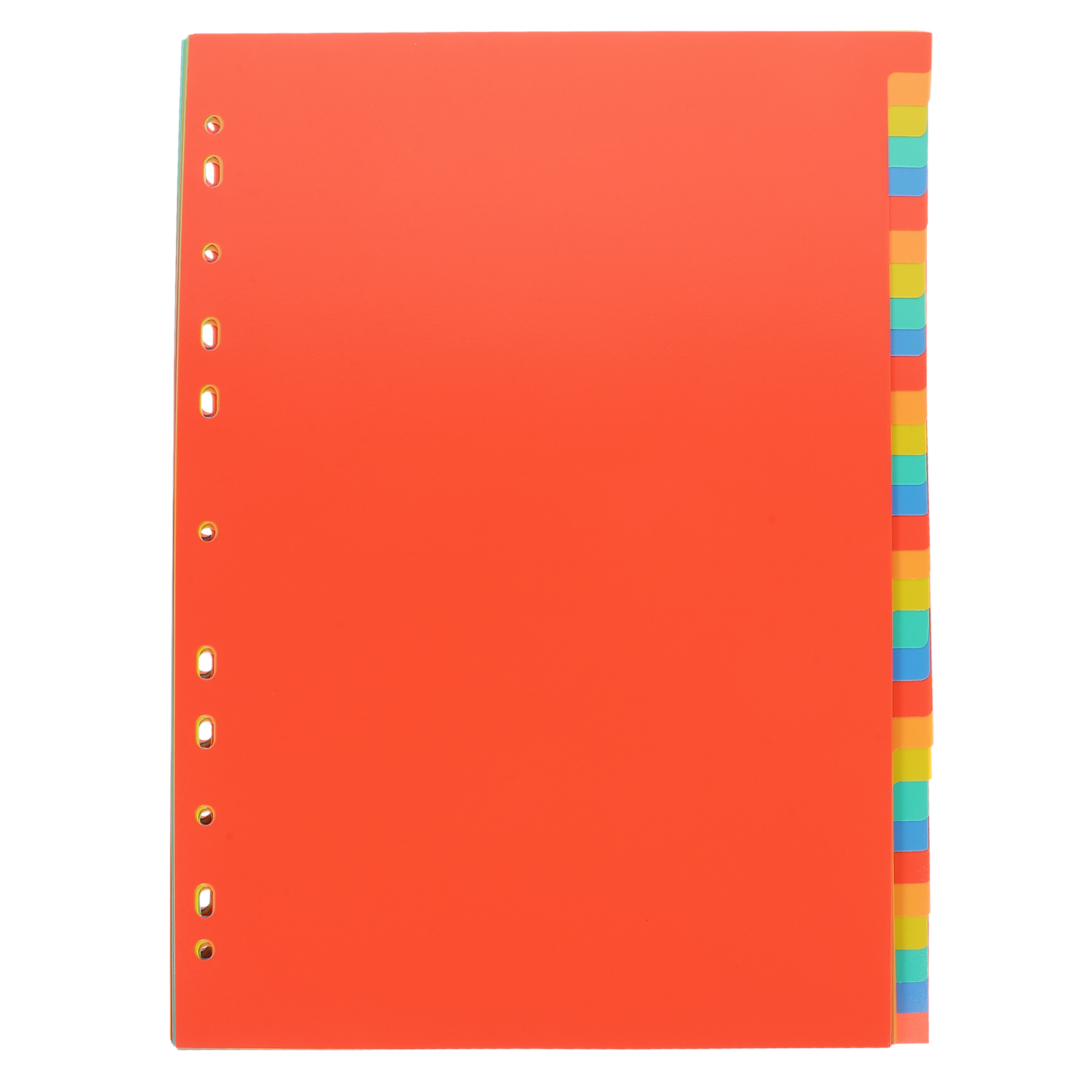 A4 Index Pages Plastic Binder  - Tab Divider A4 のレビューと価格