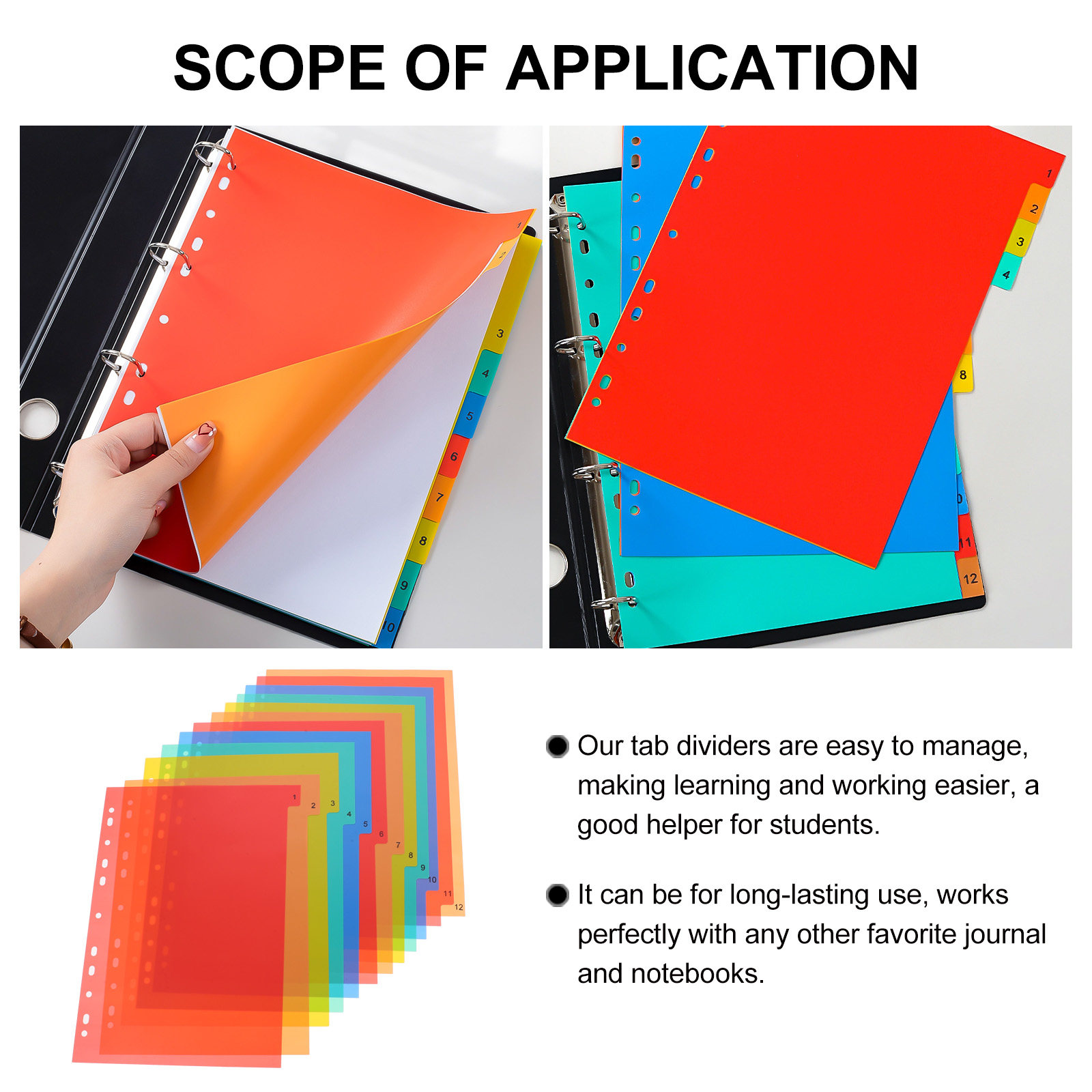Binder Dividers A4 Colored Pla - Tab Divider A4 のレビューと価格