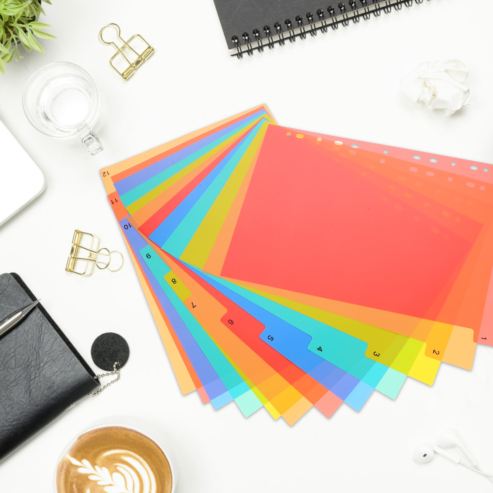 Binder Dividers A4 Colored Pla - Tab Divider A4 のレビューと価格