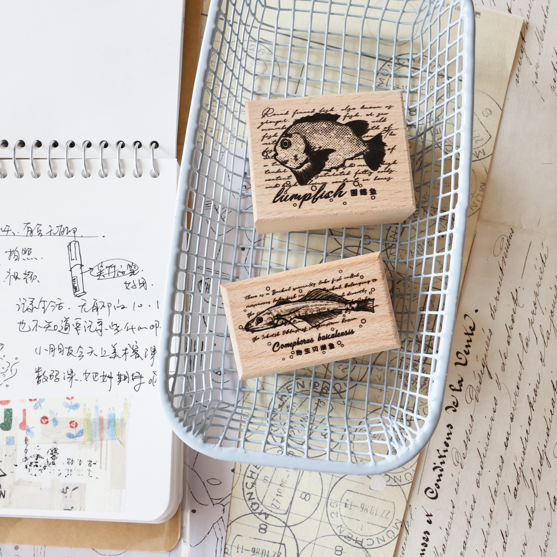 Two Raccoons Vintage Little Ca - Rubber Date Stamp のレビューと価格