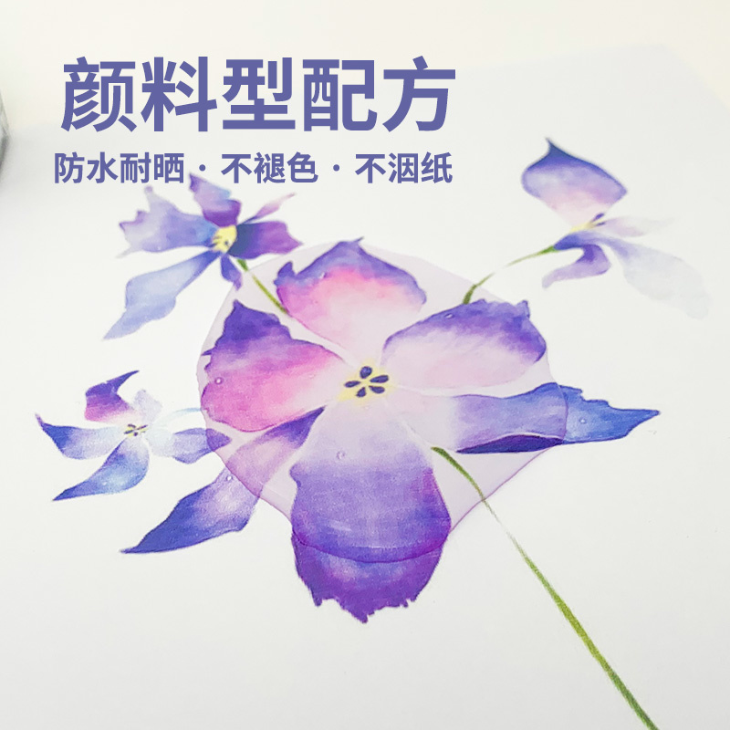 2022 New Edition Ostrich Panto - Fountain Pen Bottled Ink のレビューと価格