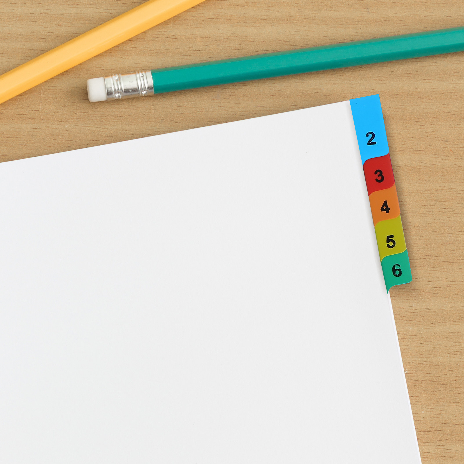 20 Pages A4 Colorful Plastic B - Tab Divider A4 のレビューと価格