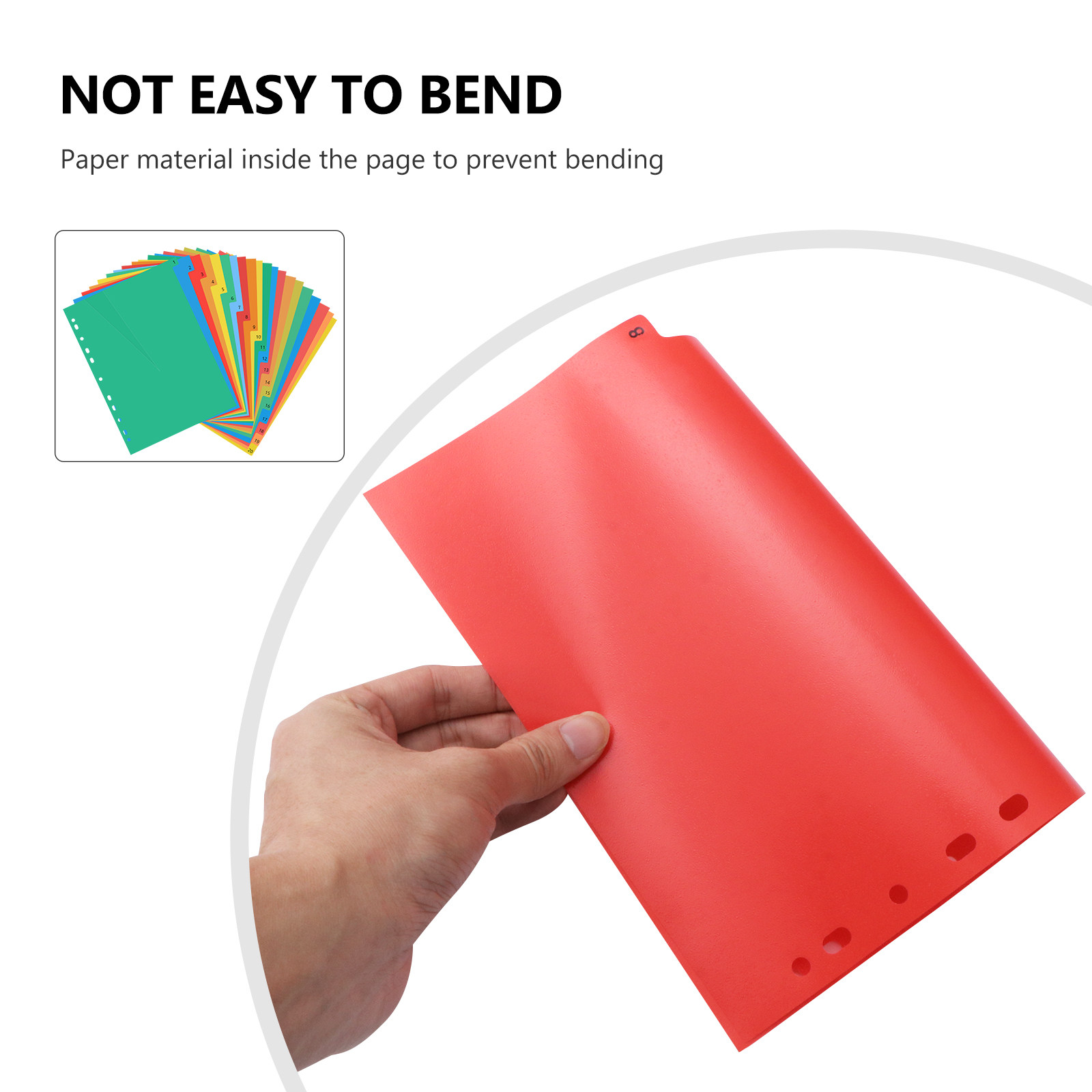 20 Pages A4 Colorful Plastic B - Tab Divider A4 のレビューと価格