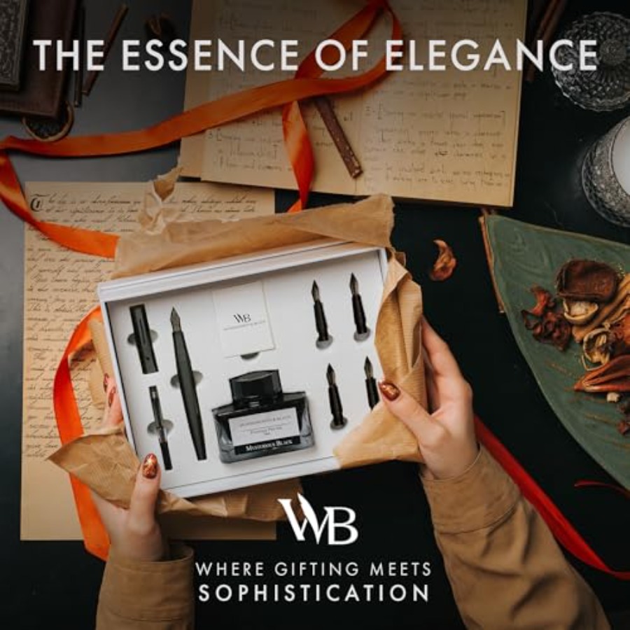 Fountain Pen Gift Set, Include - Fountain Pen Bottled Ink のレビューと価格